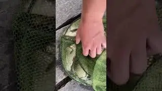 Как ты себя удовлетворяешь