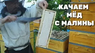 КАЧАЕМ МЁД С МАЛИНЫ вторая качка