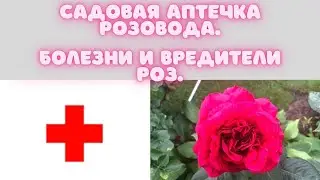 Садовая аптечка розовода. Болезни и вредители роз.