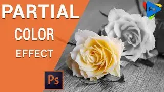 Photoshop Partial Color Effect - Color Splash Effect