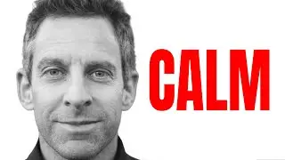 How To Instantly Achieve a Calm State – Sam Harris Explains Anxiety