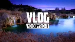 Birds Vlog No Copyright Music