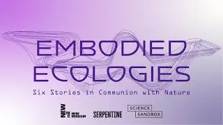 Embodied Ecologies: 6 Stories in Communion with Nature