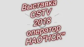 Как посмотреть на руководство Триколора? Выставка 2018