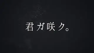 【君ガ咲ク。】櫻坂46 新メンバーオーディション ティザー映像