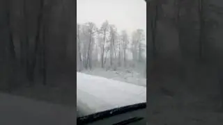 Вот такая весенняя майская весна