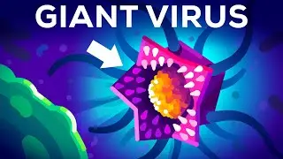 This Virus Shouldnt Exist (But it Does)