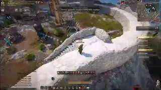 Black Desert WINNER vs Хаос, VIKINGS