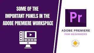 Important Panels in the Adobe Premiere Workspace