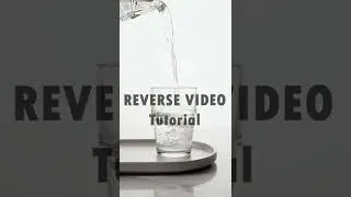 Reverse video tutorial - | Premiere Pro |