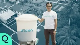 The Indonesian App That Can Grow More Fish