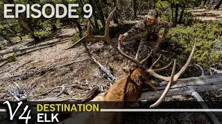 Cameraman John's GIANT Idaho Elk: EPISODE 9 (Destination Elk V4)