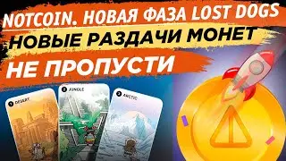 🔥 Новая фаза NOTCOIN. Гайд по Lost Dogs the way. Запуск игровой платформы с наградами в NOT