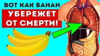 Вот как БАНАНОМ ПРОДЛИТЬ ЖИЗНЬ! Советы для здоровья. Печень, ЖКТ, почки, желудок и...