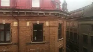 Немного Баха в этот дождливый день🌧️