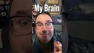 Brain - Scaffolding