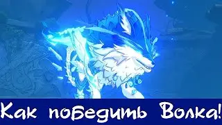 Как победить Волка. Genshin Impact. Андриус.