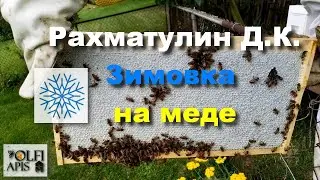 #Рахматулин