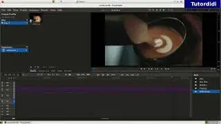How To Make Freeze Frame In Flowbalde? - Flowblade Tutorial #14