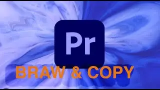 PREMIERE PRO BRAW LUT AND COPY LUT