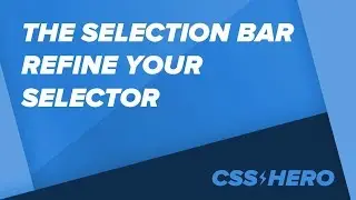 The Selection Bar