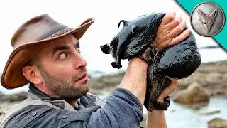 ITS HUGE! Giant Black Slug!