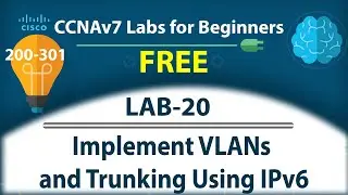 Implement VLANs and Trunking Using IPv6 - Lab20 | Free CCNA 200-301 Lab Course