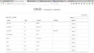 CRUD - Codeigniter, Datatables, Ajax Part 8 Remove