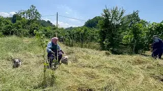 HERŞEYİ ÖNCEDEN TAHMİN EDİYOR BAHÇE İŞLERİ KÖY HATATI BELGESEL