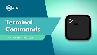 Terminal Commands: The Basics