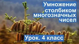 Урок. Умножение столбиком многозначных чисел. Математика 4 класс. 