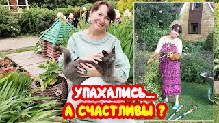 Упахались и счастливы?... ИЛИ... Дачники - неудачники?...