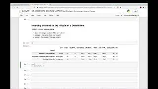 04 Inserting Columns in the Middle of a DataFrame
