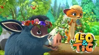 Leo and Tig 🦁 Summer best 🌺 Episodes collection 💚 Moolt Kids Toons Happy Bear