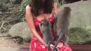 Покажи сиськи, ну пожалуйста