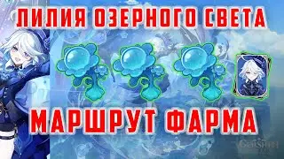 Лилия Озёрного света. Прокачка Фурины. Маршрут Фарма [Genshin Impact]