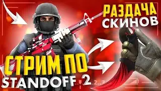 🔴 СТРИМ ОЦЕНКА КАНАЛОВ / БЕСПЛАТНЫЙ ПИАР / ВЗАИМКА /  СТАНДОФФ 2 🔴