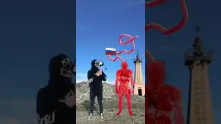 🤔Какой Орган самый длинный ? 