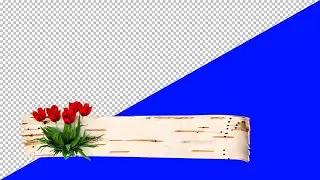 Футаж на синем фоне — Плашка береста, цветы