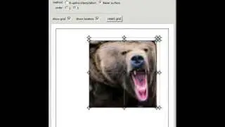 Image Warping