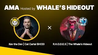 Why will $HODI be so VALUABLE? [AMA hosted by Whale's Hideout]