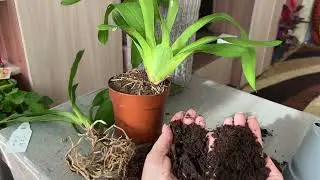Нюансы цветочного бизнеса