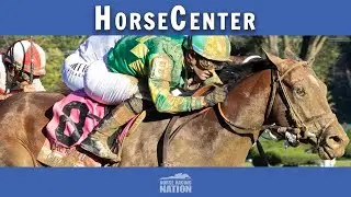 Breeders' Cup Classic & Juvenile Top Picks + BC 2024 Suggested Wagers on HorseCenter