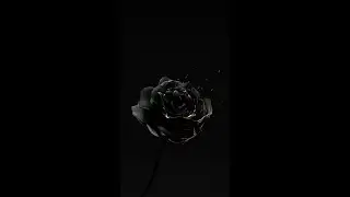 [FREE] Duvy x Houdini x Burna Bandz Type Beat 