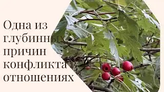 Мужчины убивают свою мать в других женщинах, а женщины убивают своего отца в других мужчинах.