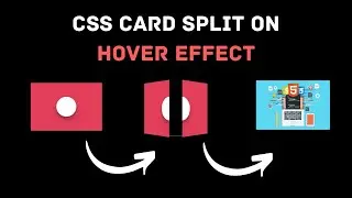 CSS Card Split On Hover Effect || HTML5 & CSS3 || Full Tutorial