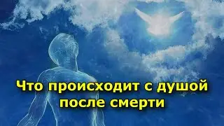 Что происходит с душой после смерти: ВАЖНЫЕ 9 дней!