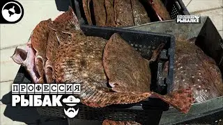 Промысловый лов камбалы. Калкан. Крым | Профессия рыбак ©