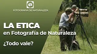 La ETICA en fotografía de naturaleza - ¿VALE TODO?