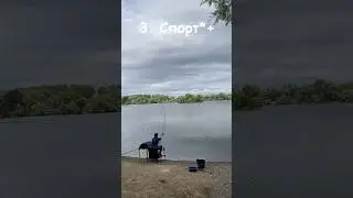 Забросы на 